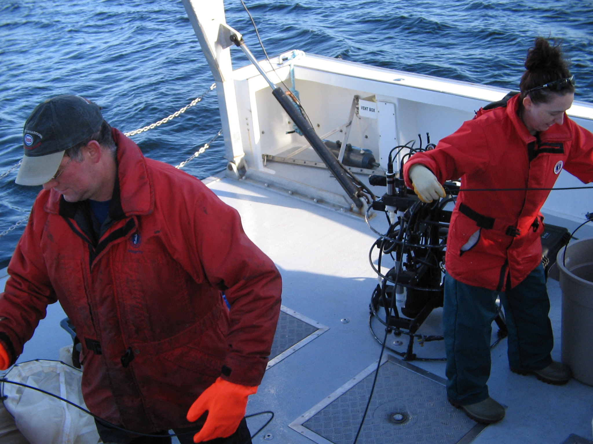 Sampling in the field