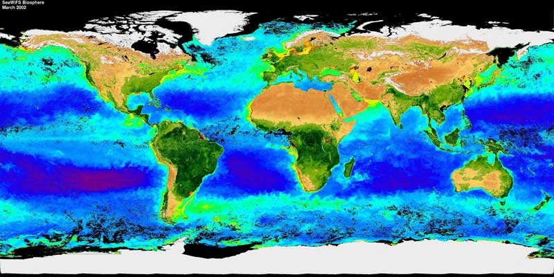 Satellite Imagery Photo
